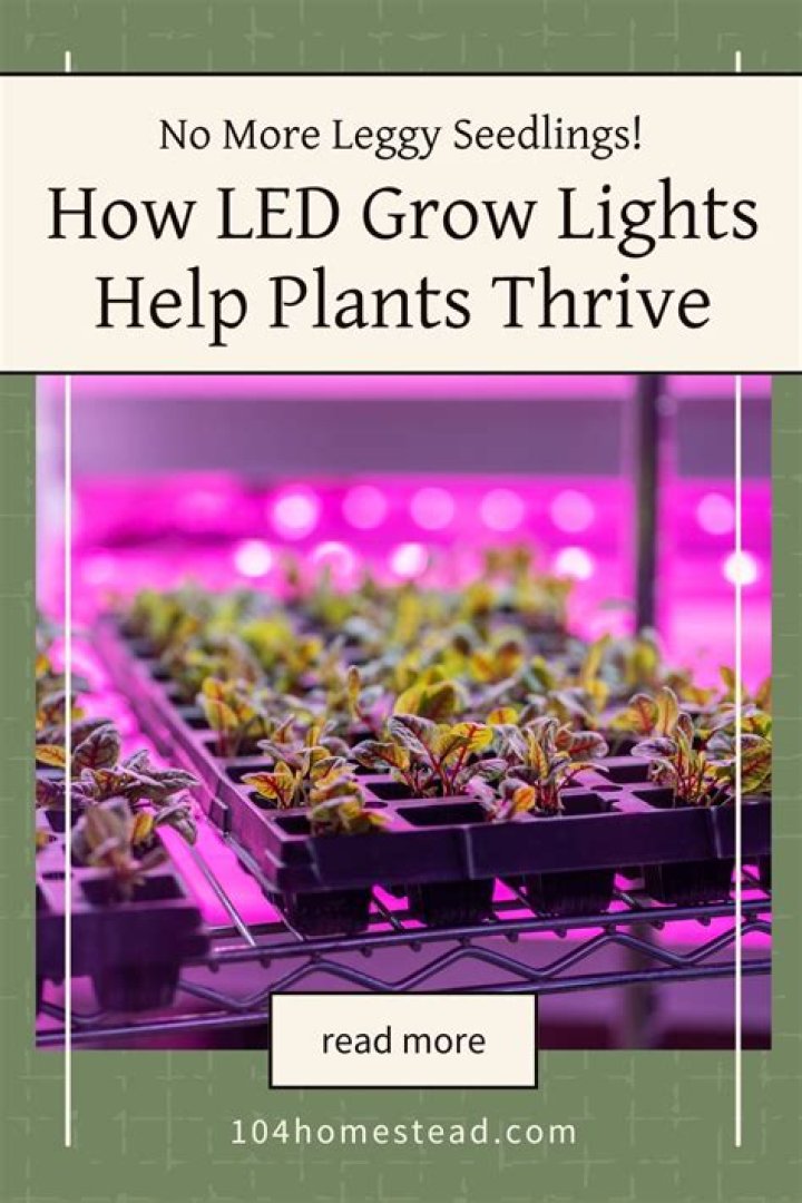 Are LED lights good for seedlings?