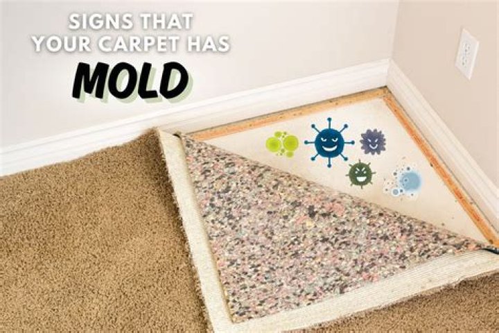 Can cleaning carpet cause mold