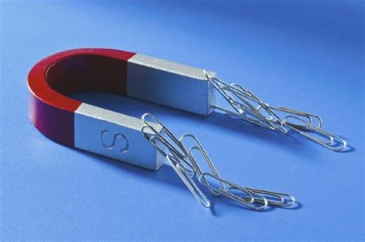 Can Plastic attract to a magnet?