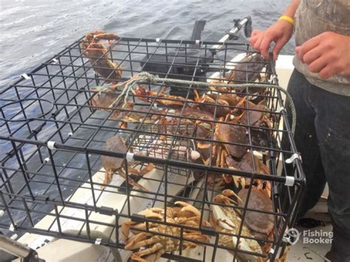 Can you catch crabs in Florida?