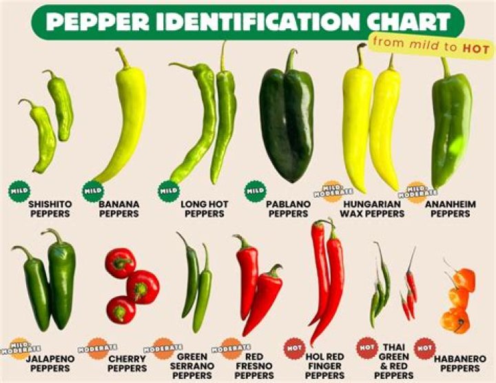 Can you cross breed chillies?