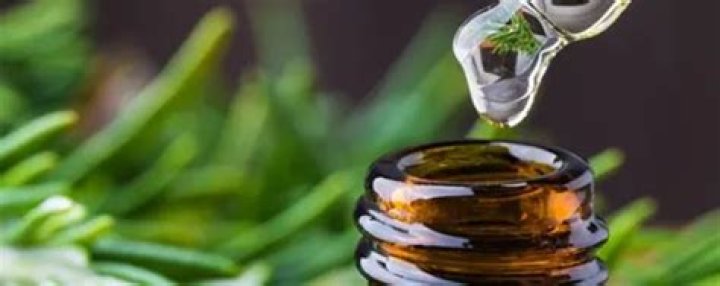 Can you rub citronella oil on your skin