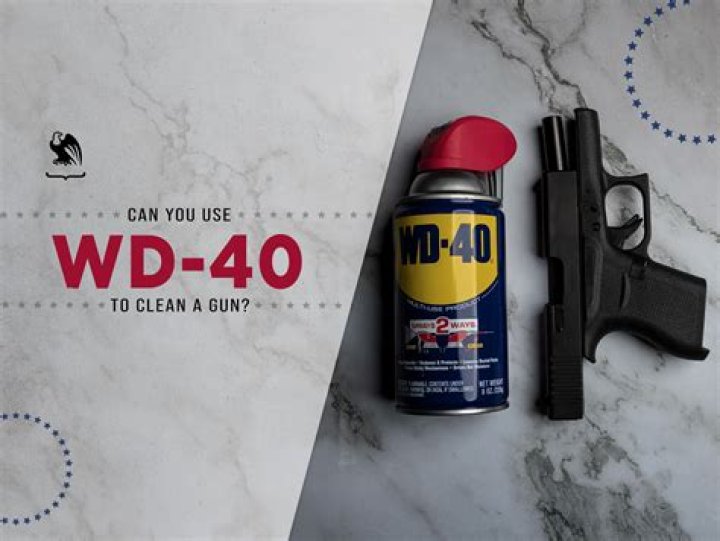 Can you use WD 40 to clean a gun?
