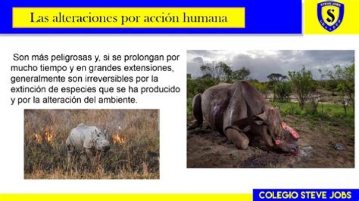 ¿Cuáles son las alteraciones del pensamiento