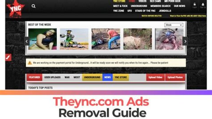 Deniceinm.biz Ads Removal Guide — How to Fix It?