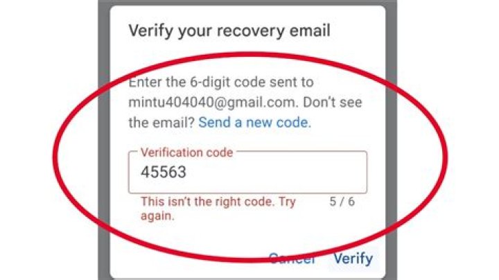 Do EPP codes expire?