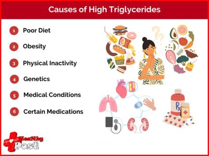 Do triglycerides increase weight loss?