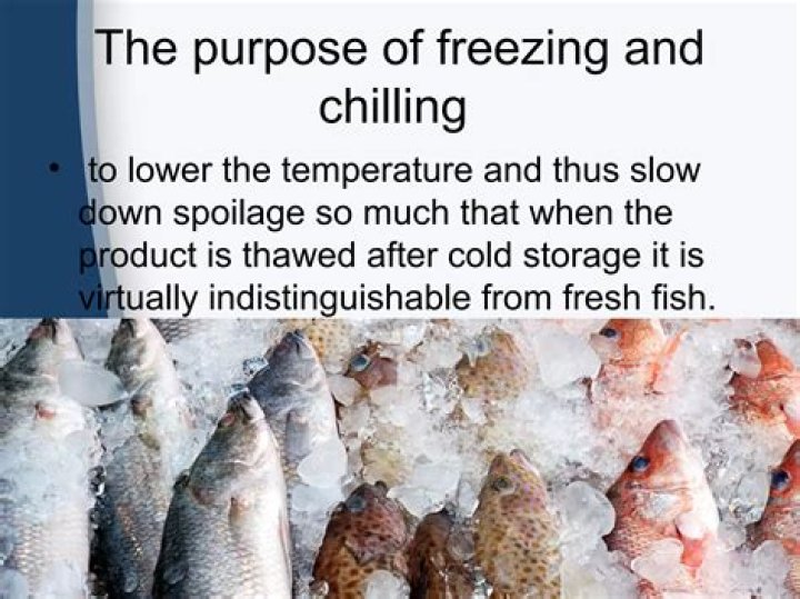 Does freezing change weight?