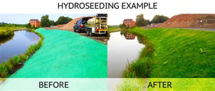 Does hydroseeding need topsoil? | ContextResponse.com