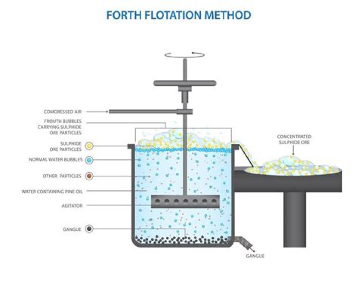 For which ore of the metal froth flotation method is used for concentration?