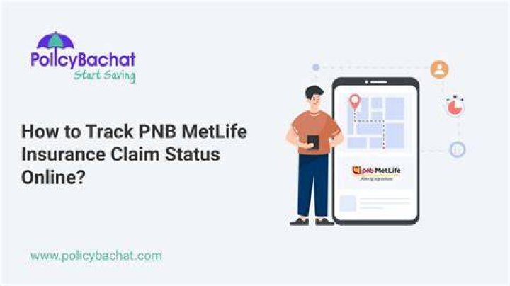 How can I check my PNB Metlife policy status?