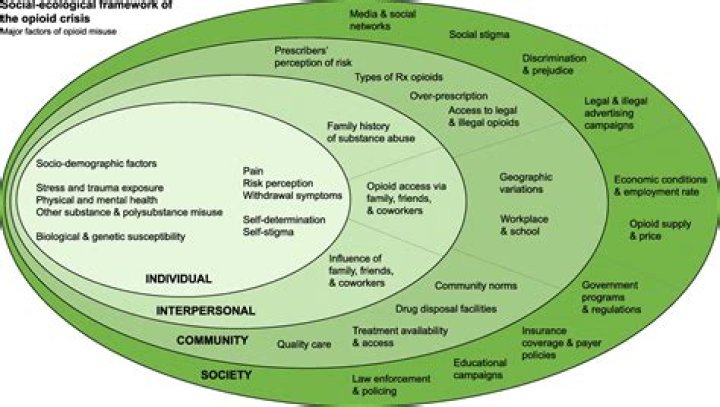 How can lack of ecological understanding harm us?