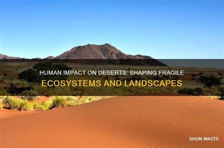 How do humans impact on deserts?