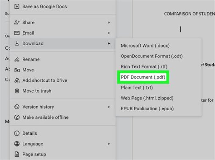 How do I convert a PRN file to text?