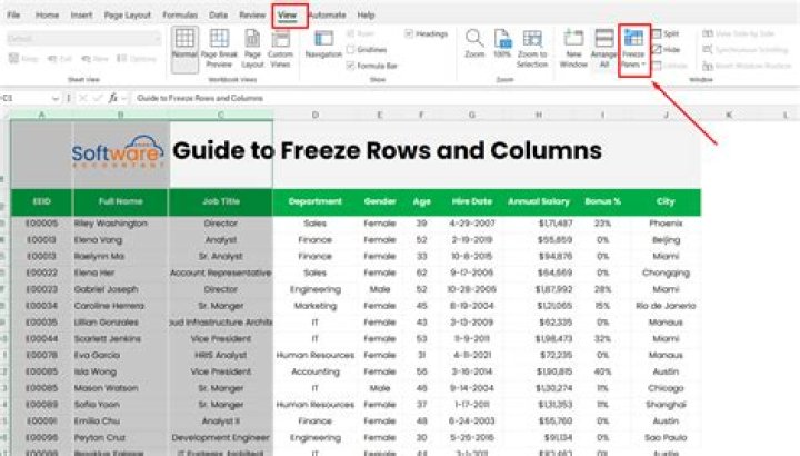 How do I freeze rows for both columns and rows in Excel 2007?