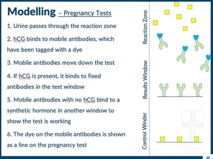 How do theory tests work