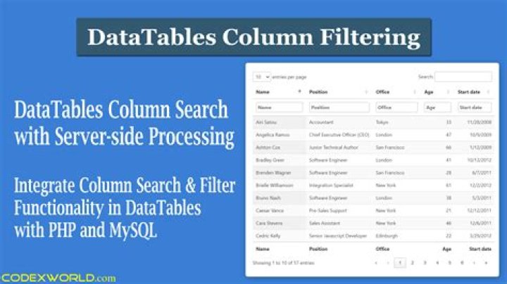 How do you check if a DataTable column is null or empty?