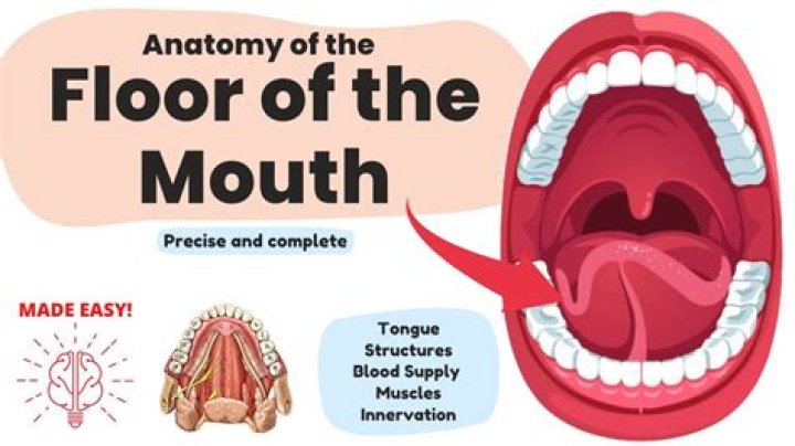 How do you examine the floor of your mouth?