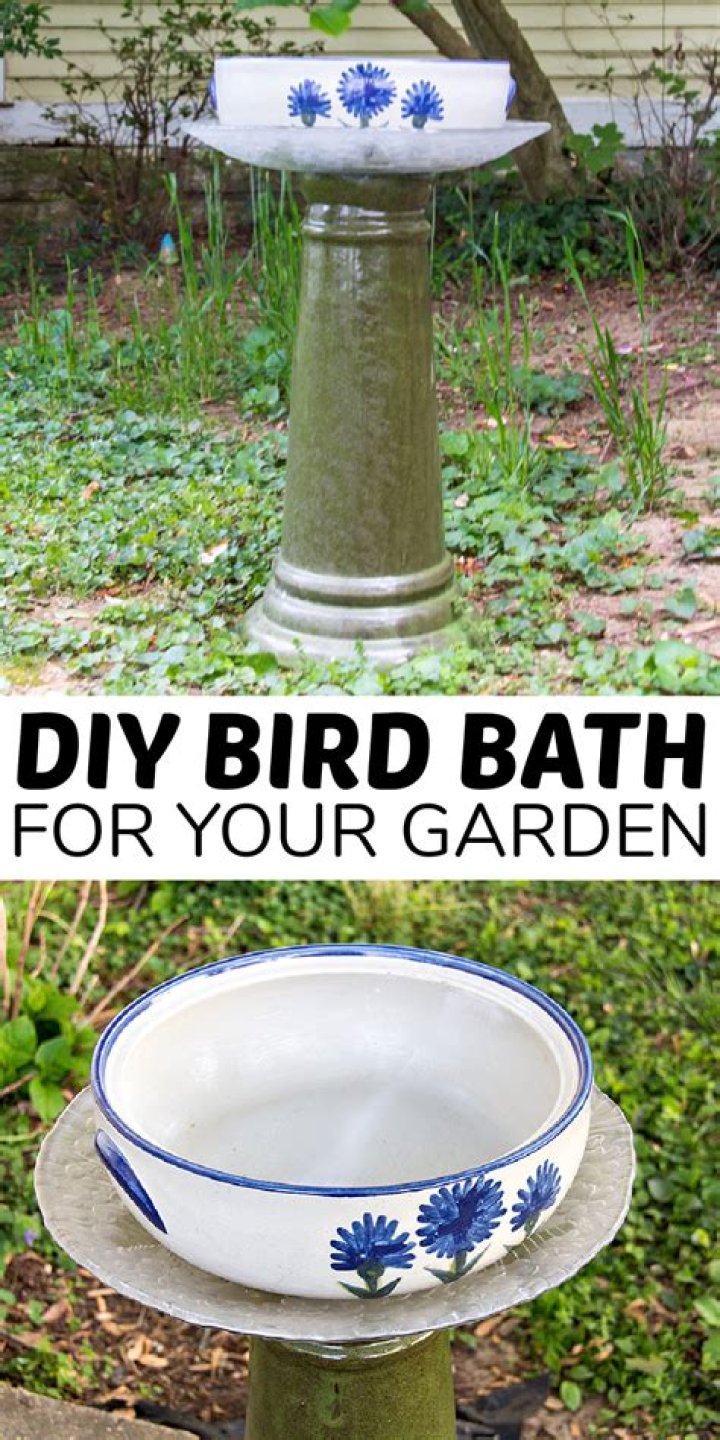 How do you keep a bird bath water from turning green?