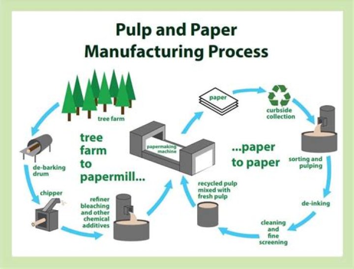How do you make paper wood pulp?