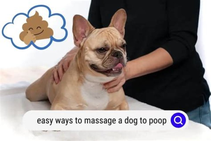 How do you massage poop?