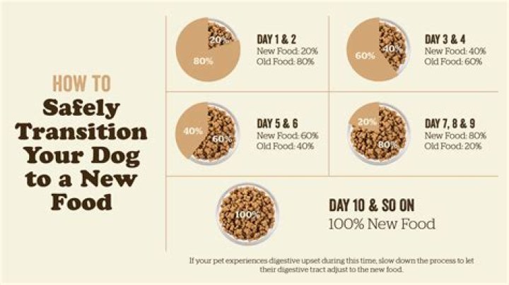 How do you transition off Keto?