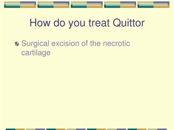 How do you treat Quittor?