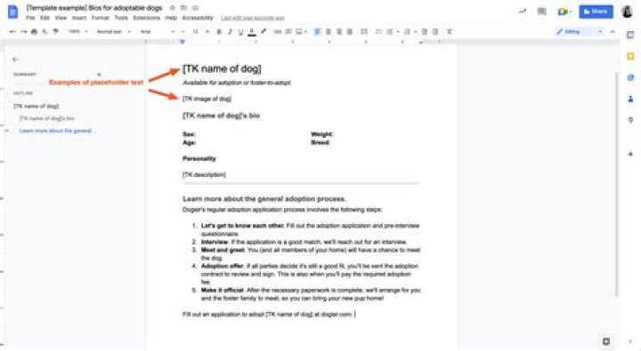 How does canvas work with Google Docs?