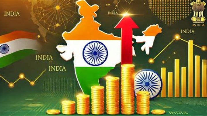 How does disinvestment affect Indian economy?