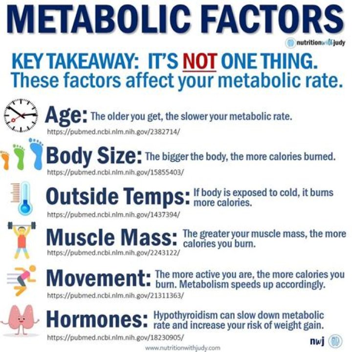 How does size affect metabolic rate?