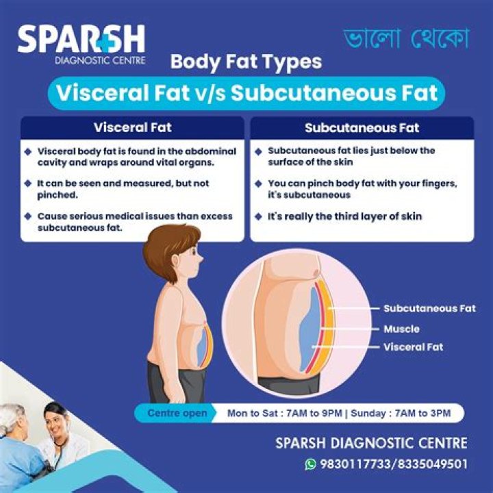How does visceral fat differ from subcutaneous fat?
