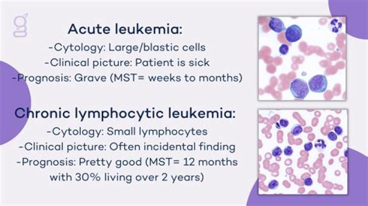 How long can a person live with chronic lymphocytic leukemia