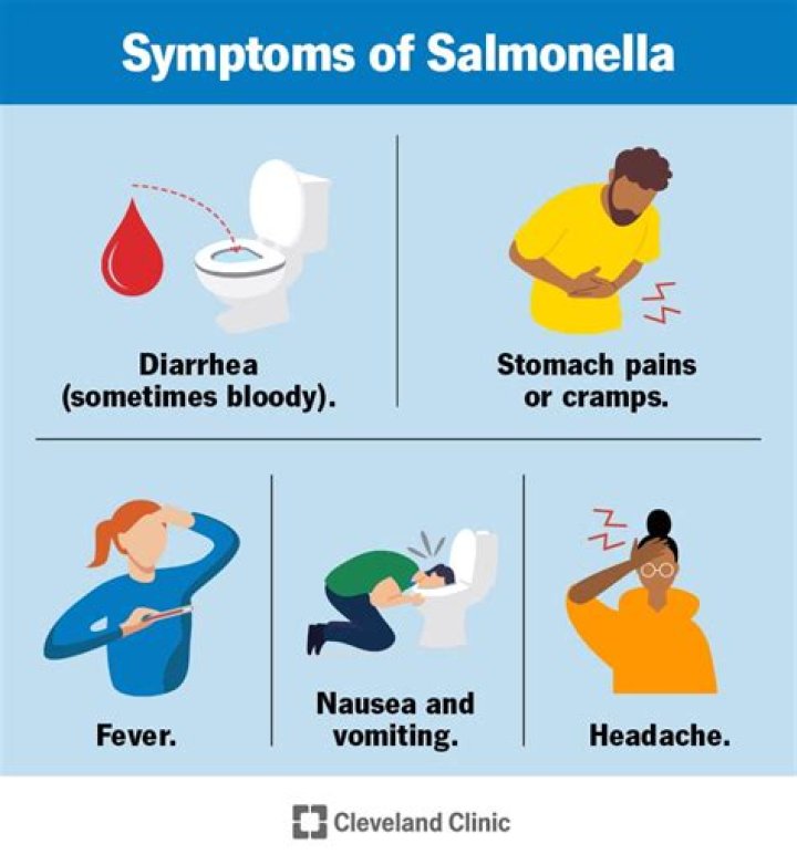 How long does it take to get symptoms of salmonella?