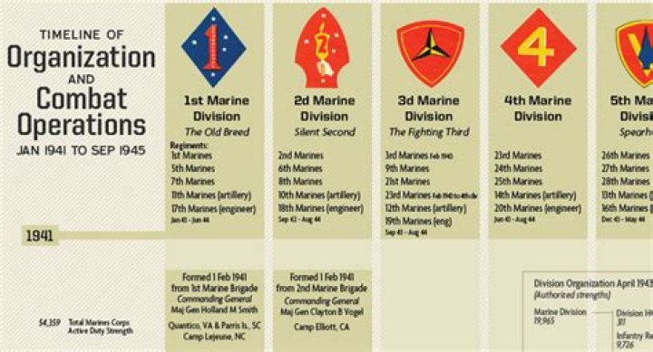 How many divisions did the US have in ww2?