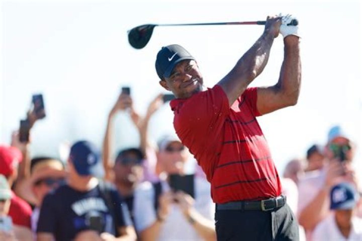 How many majors Tiger Woods won?