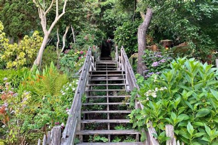 How many steps does Filbert Street have