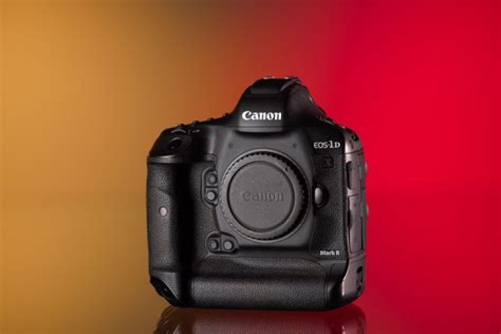 How much does the Canon 1dx Mark II weigh?