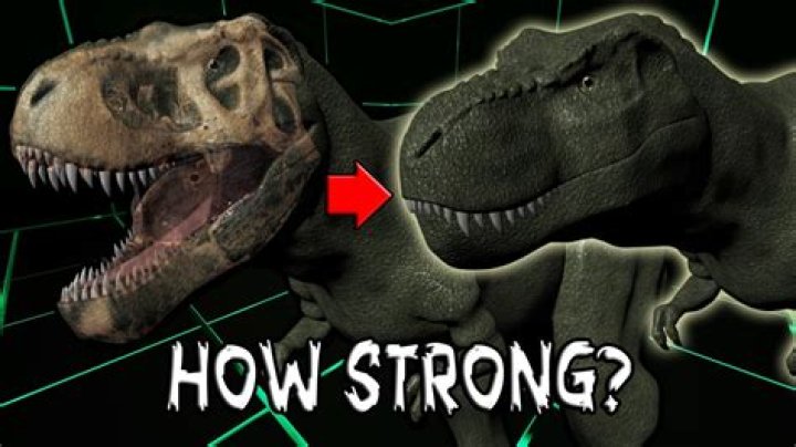 How strong is the T Rex?