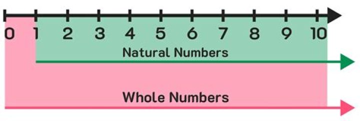 Is 20 a whole number?