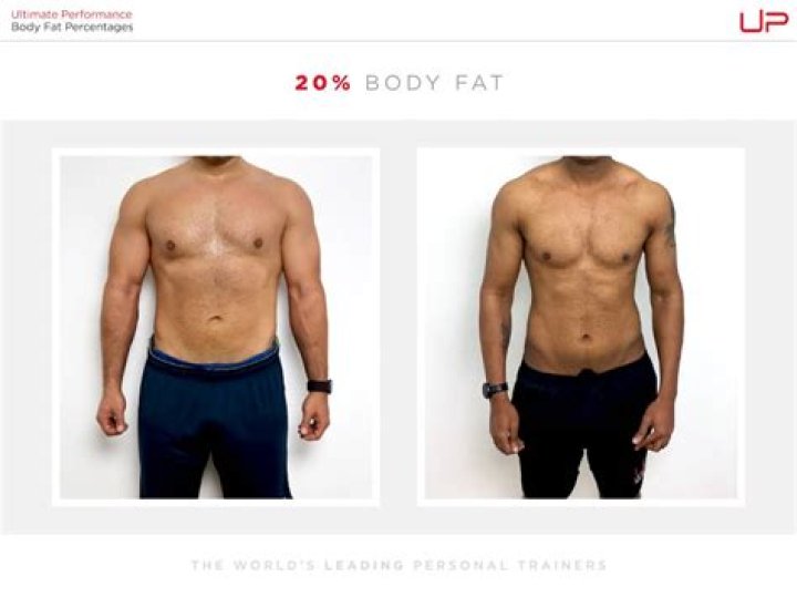 Is 20 percent normal body fat for males?