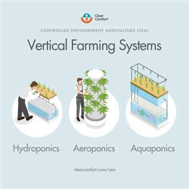 Is aquaponics commercially viable? | ContextResponse.com
