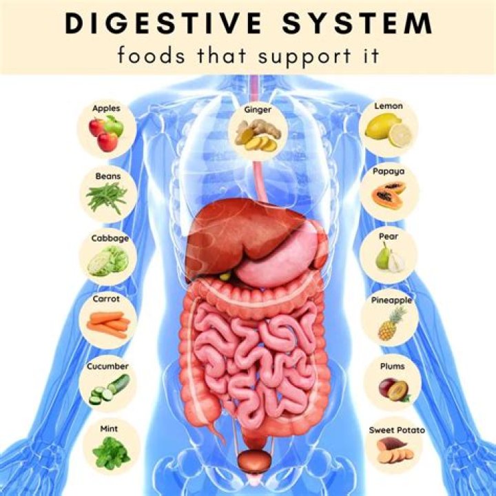 Is corn good for your digestive system?