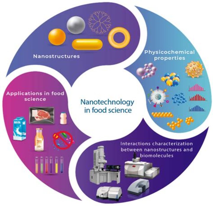 Is nanotechnology harmful? | ContextResponse.com