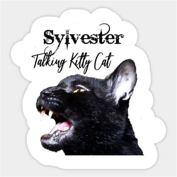 Is Sylvester the talking cat dead 2020?