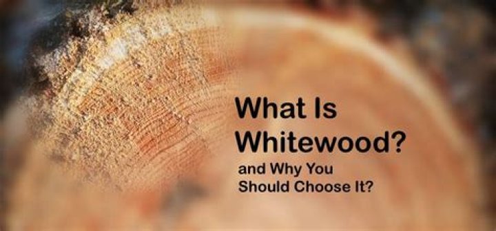 Is Whitewood a hardwood? | ContextResponse.com