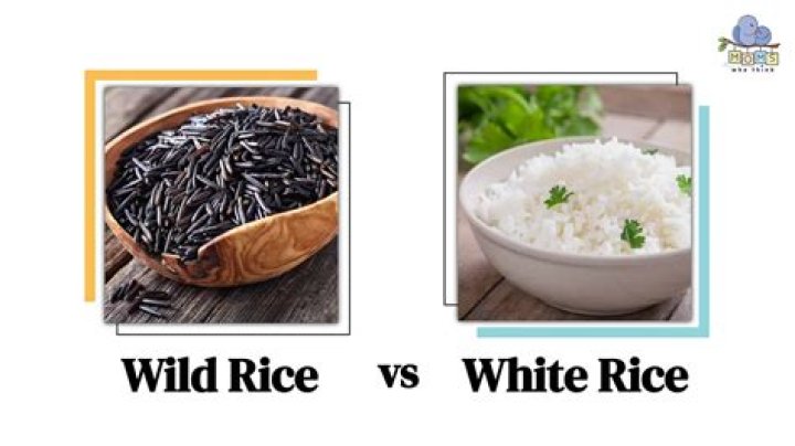 Is Wild Rice an alkaline food?
