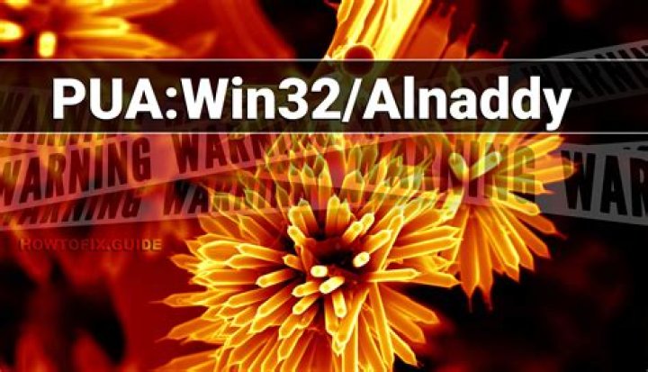 PUA:Win32/Alnaddy (Alnaddy Unwanted Application) — Virus Removal Guide