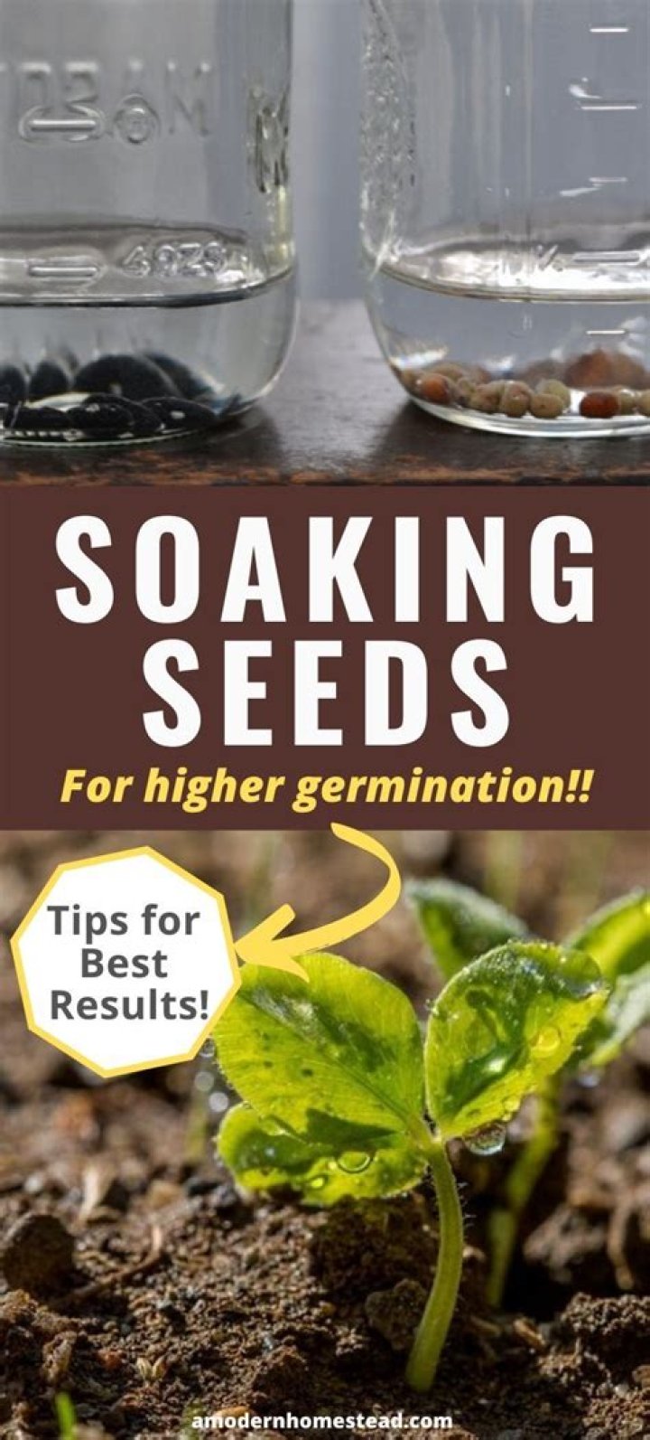 Should I soak my seeds before planting?