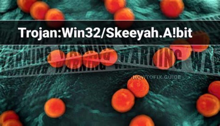 Trojan:Win32/Skeeyah.A!bit