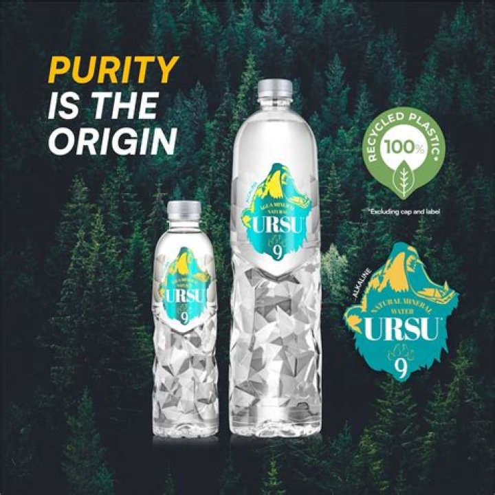 Ursu.911784
